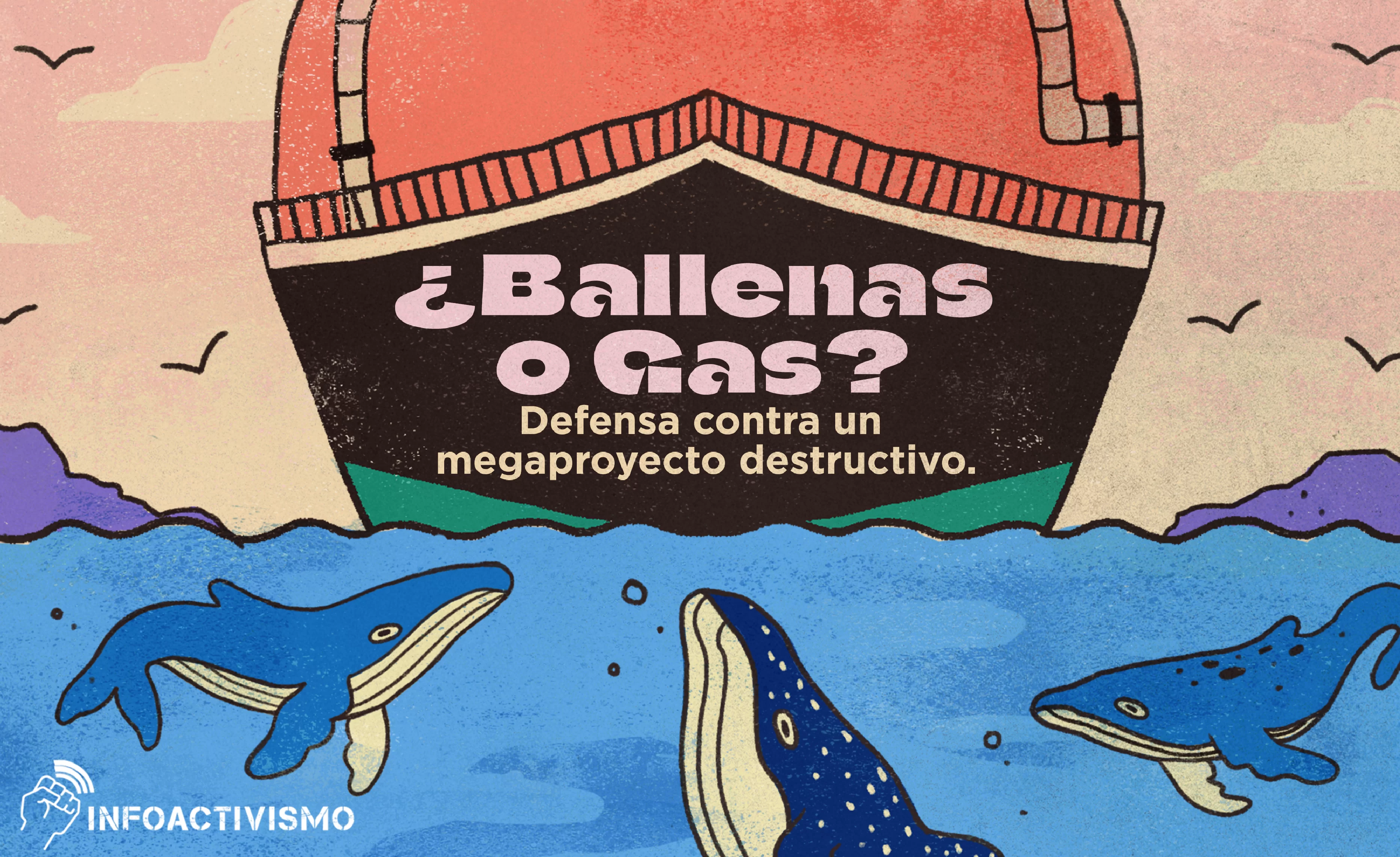 portada_ballenasogas_portada blogpost(1) Megaproyectos que amenazan a las ballenas en el Golfo de California