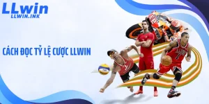 Cách Đọc Tỷ Lệ Cược LLWIN